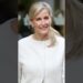 “Duquesa Sophie faz declaração discreta sobre Harry e Meghan” #shorts #shortsfeed #news