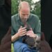 William é Surpreendido com Foto Íntima e Filhotes Reais! #shortsyoutube #shortsfeed #news