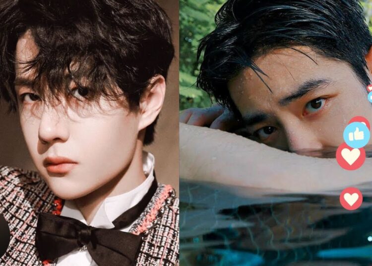 Doctors Shocked by What They Found in Wang Yibo’s Brain Scan Reveal