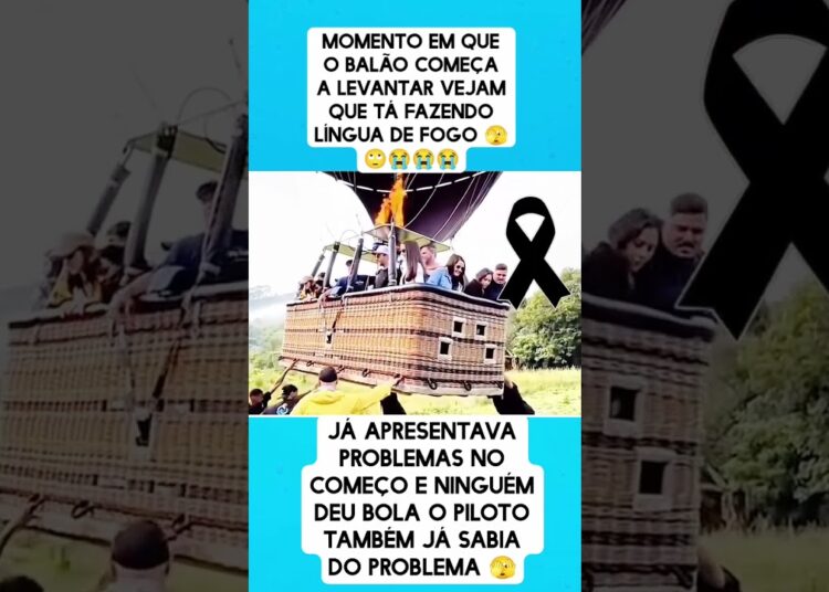 #fofoca #noticias
