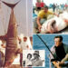 A lenda do caçador de tubarões 'monstro' de Long Island pode ter inspirado 'Jaws', icônico capitão Quint