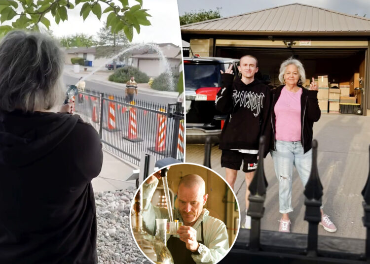 'Breaking Bad' dono da casa sprays fãs com mangueira de água