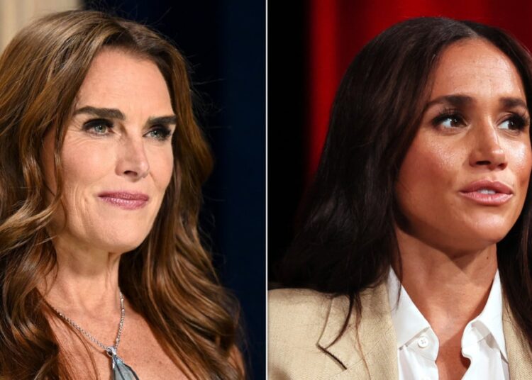 Entrevista de podcast de Brooke Shields, criticando Meghan Markle removido