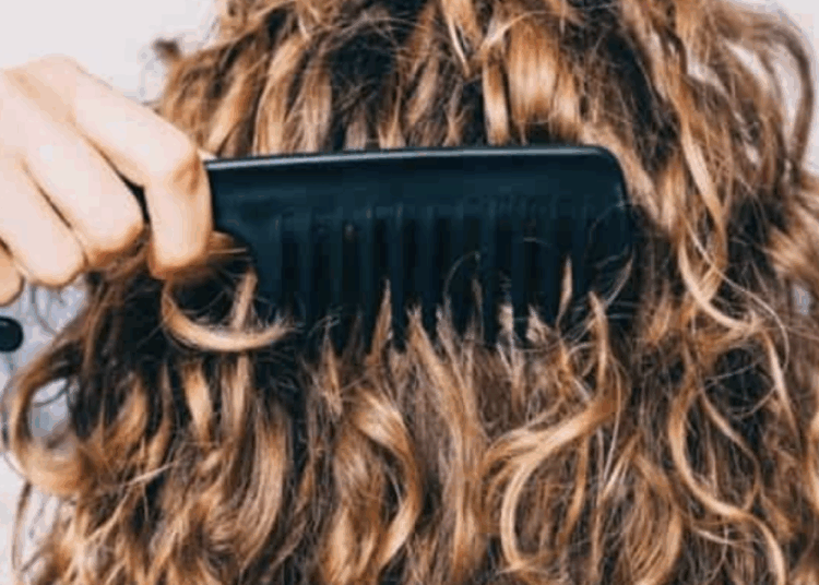Seu cabelo não está danificado, você está apenas pedindo um intervalo de calor - terra de celebridade