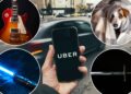 Uber revela os itens mais peculiares deixados para trás
