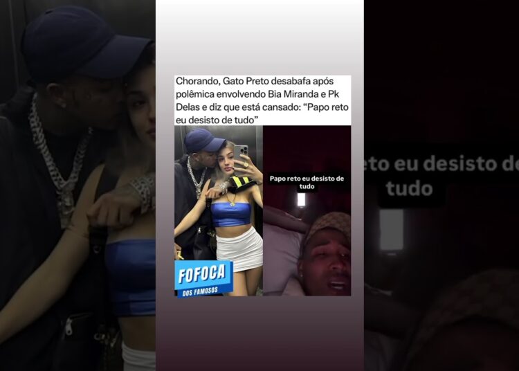 Gato preto sobre polêmica! #fofocas #noticias #ultimasnoticia #fofoca #biamiranda #gatopreto