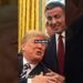 As celebridades que admiram Trump!#curiosidades #noticias #brazil