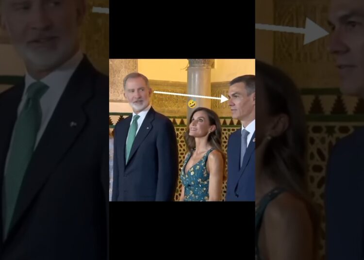 🤓 queen Letizia between king Felipe and PM Pedro Sanchez😂#fuuny#reaction