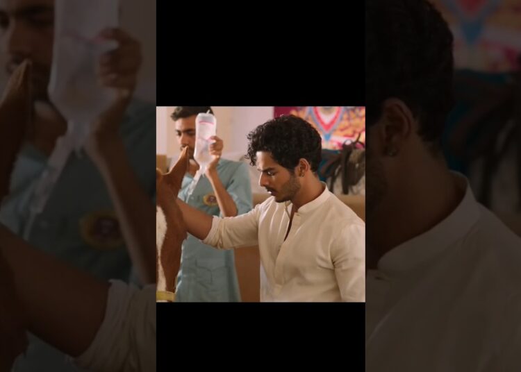 The Royals 🔥 Ishaan khatter Bhumi pednekar🔥 #song #trending #ytshorts #viral #theroyals #viralvideo