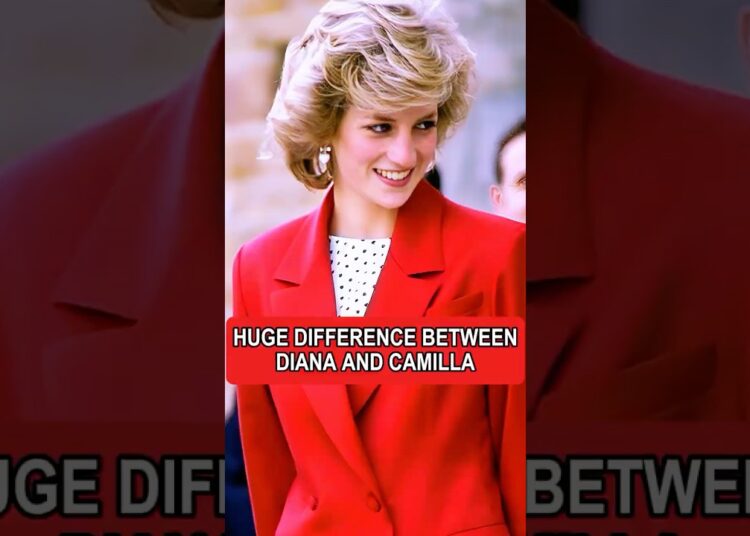 The huge difference between Princess Diana & Queen Camilla at their weddings#royal #shorts#history