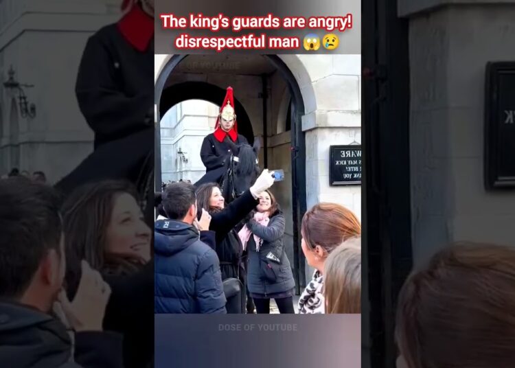 The king’s guards are angry! disrespectful man #kingsguard #royalguard #horse #tourist #royalfamily