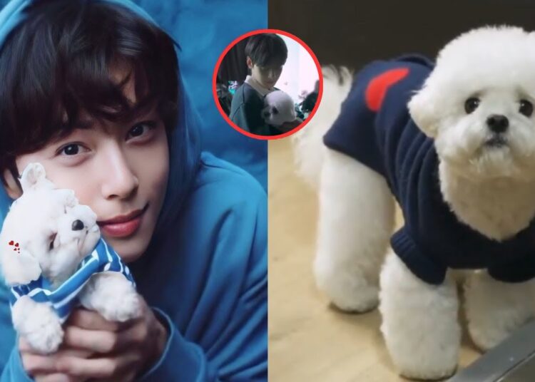 No One Expected This from Cha Eun-woo and Dongdong… đ„ș