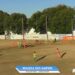 FINAL COPA AESUPAR 2025 – REALEZA X AMPERE – JOGO DE IDA