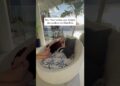 Mansão para temporada em Ilha Bela, Casa Realeza #brasil #litoralnorte #turismo #airbnb #luxo #trip