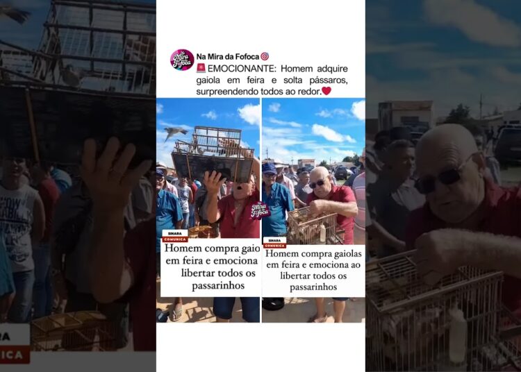 “SEJAM LIVRES!”❤️🕊️ Homem compra gaiola em feira e libertar os pássaros#noticias #brasil #empatia