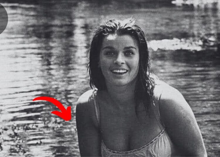 🌟 Back When Stars Were Truly Stars: Rare Celebrity Photos You’ll Love | Retro Reflections