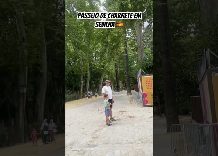 #travel #vlog #shortvideo #brasileirosnaeuropa #viajar #cavalo #passeio #castelo #realeza #spain #ig