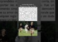 Diana rompió las reglas de la realeza por un gesto de amor #shorts #shortsviral #increíble
