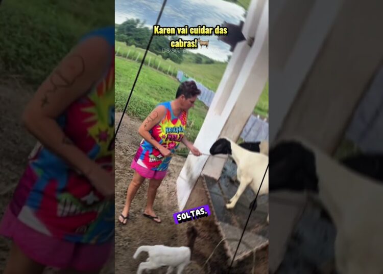 #fofocadosfamosos #bizarro #fofocas #noticias #vaiprofycaramba #historias