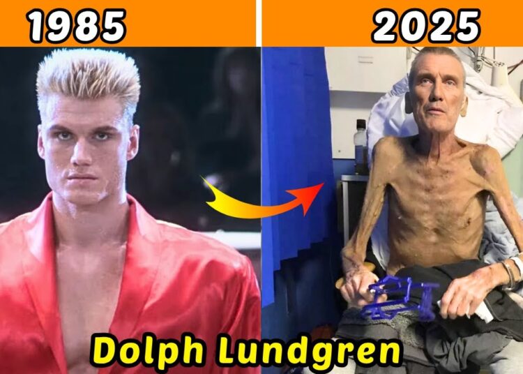 You Won’t Believe These Action Stars’ Transformation Over the Years!