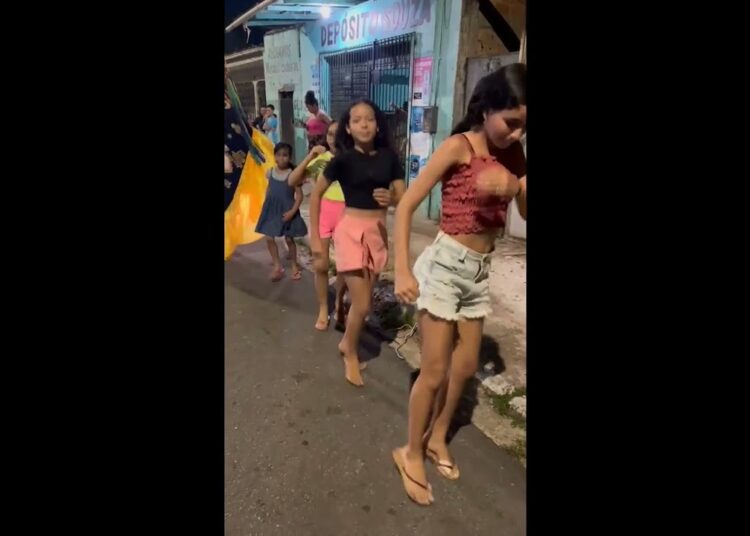 Boi Malhadinho- Realeza do Guamá. Símbolo de resistência e força no Bairro do Guamá.