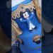 PARA TUDO E VEM VER ESSE BOLO! #realeza #mickey #biscuit