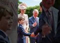 Prince Louis meets the French President? #royal #princewilliam #katemiddeleton #kingcharles #macron