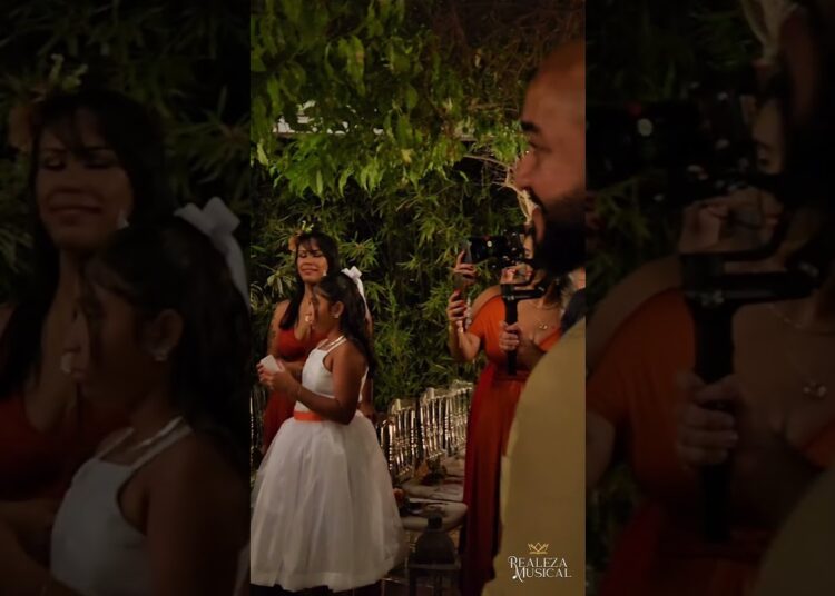 Marcha Nupcial + Pode Morar Aqui | Orquestra Realeza Musical | Músicos Para Casamento