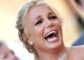 Britney Spears disse aos fãs que adotou uma menina 'bonita'. Aqui está o que sabemos.