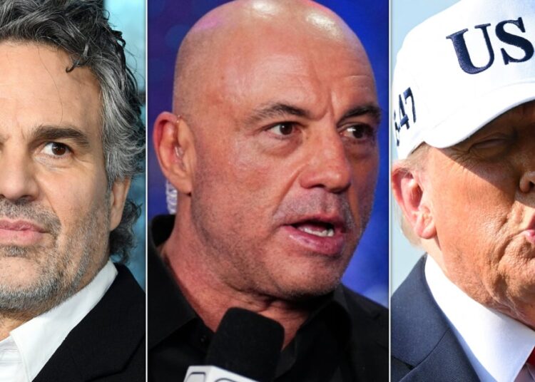 Mark Ruffalo rasga Joe Rogan pela crítica de gelo Trump