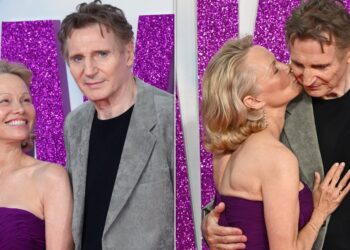 Pamela Anderson, Liam Neeson Fuel Dating Rumores