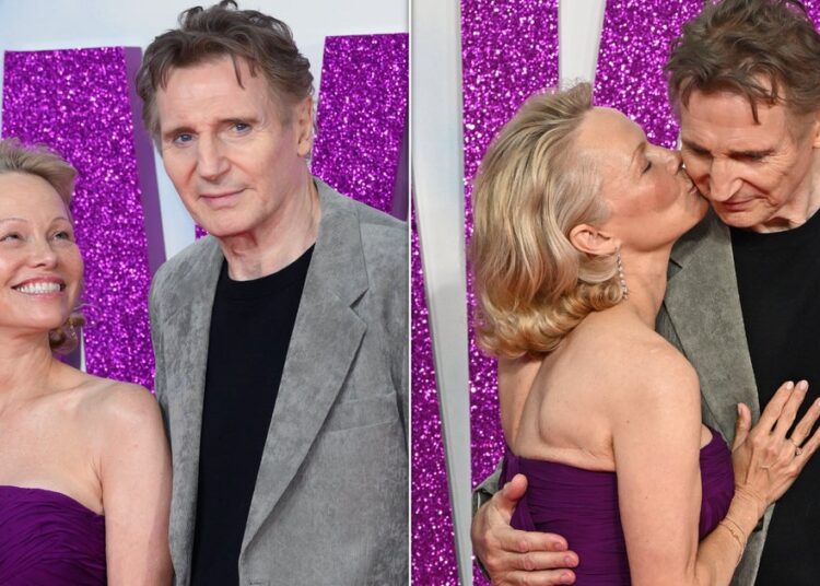 Pamela Anderson, Liam Neeson Fuel Dating Rumores