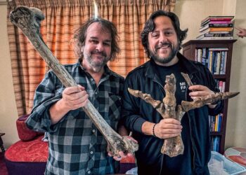 Peter Jackson Backs planeja trazer de volta espécies extintas