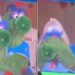 Phillie Phanatic pego em riff no Coldplay Kiss Cam Scandal