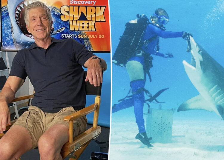 Tom Bergeron em um possível retorno 'DWTS' à frente do novo show de tubarões