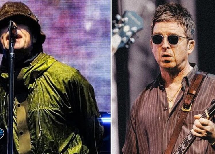💔 Tragedy at Oasis Concert 😢 Fan Falls During Final Song at Wembley