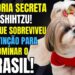Shitzu: O Que a Realeza Chinesa Escondia? 5 Segredos Surpreendentes Sobre a Raça Shih Tzu!