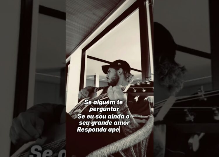 ZE SERA QUE ERA GRANDE AMOR ✍️#famosos #sertanejo #zefelipe #fofoca #fofocas #status #story
