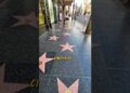 Você nunca imaginou essas curiosidades… #Estrelas#celebridades #fofocadosfamosos