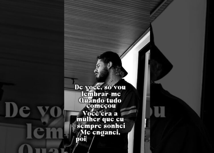 ZE MULHER QUE SONHEI ,ME ENGANEI ✍️#famosos #sertanejo #fofoca #fofocas #zefelipe #statusvideo