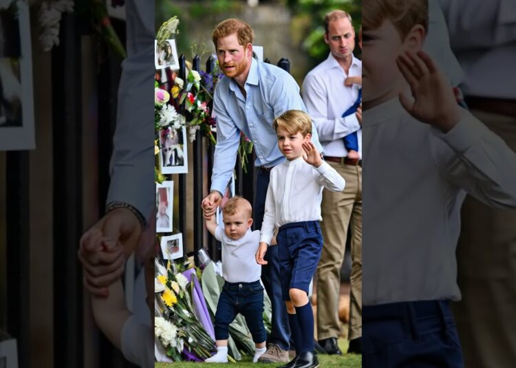 Prince Harry leaves #royal #princewilliam #katemiddeleton #princeharry #princelouis #princegeorge