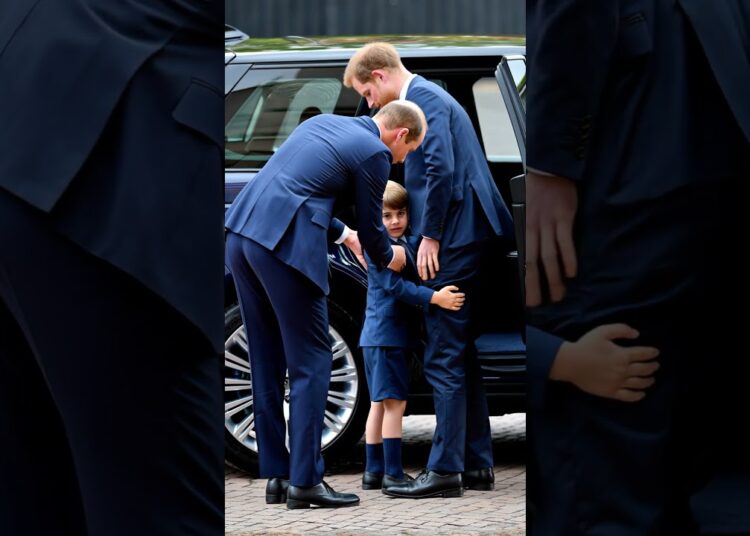 Prince Louis wants Harry to stay? #royal #princewilliam #katemiddeleton #princeharry