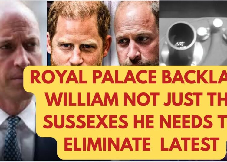 PRINCE WILLIAM SUSSEX DILEMMA PLUS THIS NOW LATEST #meghan #news #royal