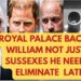 PRINCE WILLIAM SUSSEX DILEMMA PLUS THIS NOW LATEST #meghan #news #royal