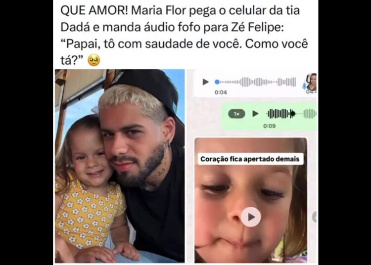 MARIAS ESTÃO SAUDADE ZE 🥺🥹💔#famosos #sertanejo #zefelipe #fofoca #fofocas #mariaalice #mariaflor