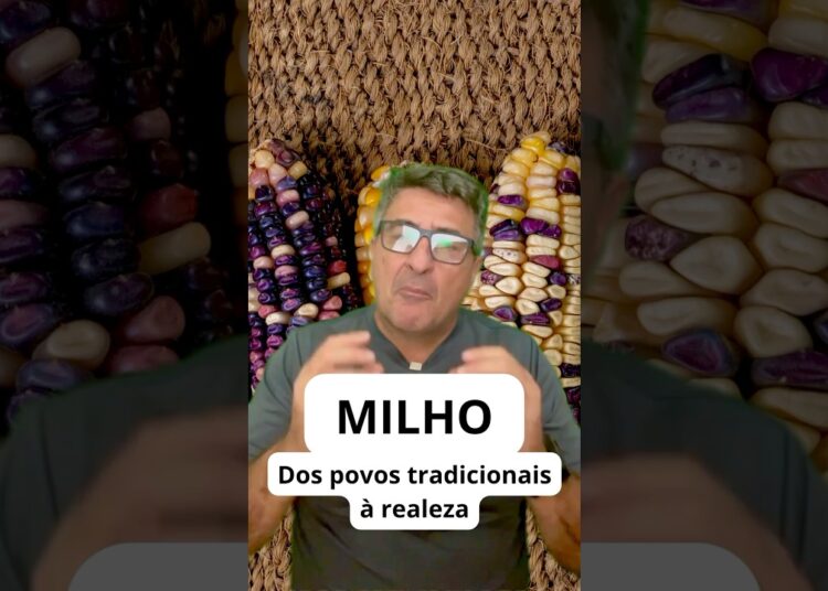 Nossa classe média só comeu angu depois que a realeza gostou. #receitas #curiosidadeshistoricas