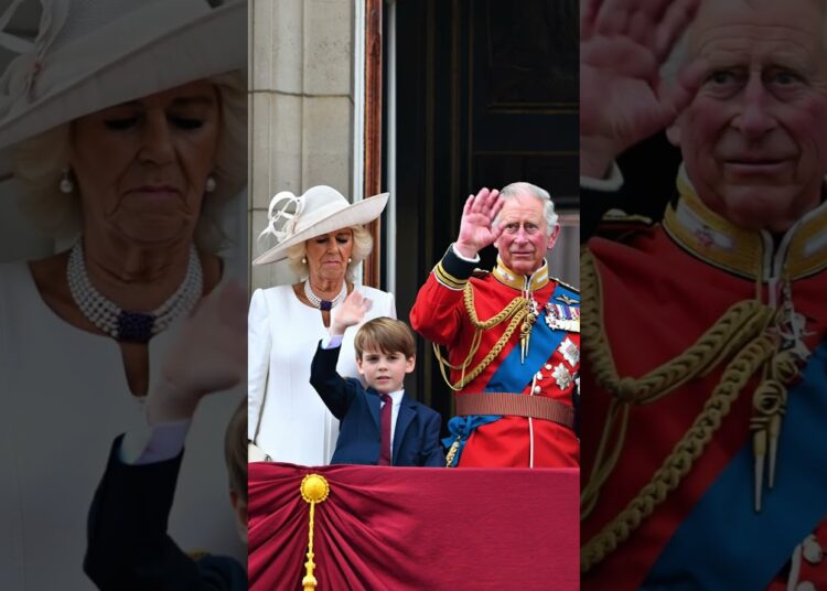 What did Queen Camilla say that made Louis unhappy? #royal #princewilliam #katemiddeleton