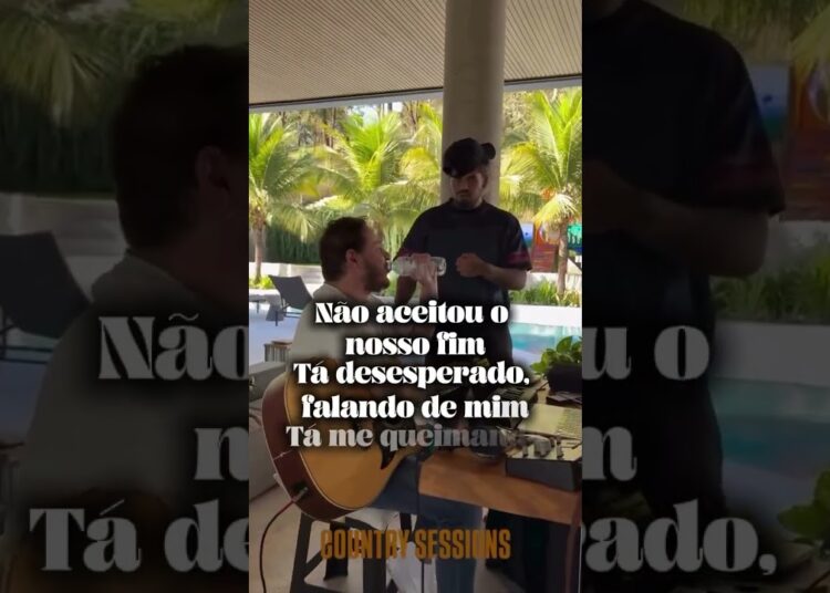 ZE NAO ACEITO NOSSO FIM 💔#famosos #fofocas #fofoca #zefelipe #sertanejo #mariliamendonça #status