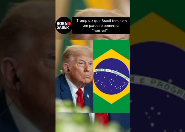 #fofoca #fofocas #famosos #zefelipe #viral #polemica #noticias