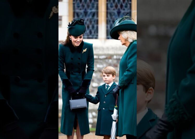 What did Queen Camilla say that scared Louis? #royal #princewilliam #katemiddeleton #princelouis
